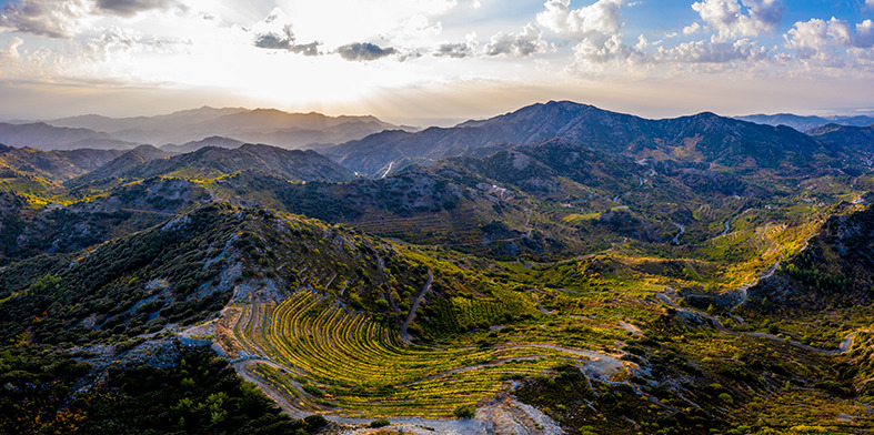 « Méditerranée, terroir divin » saison 3 : Reportage à Chypre